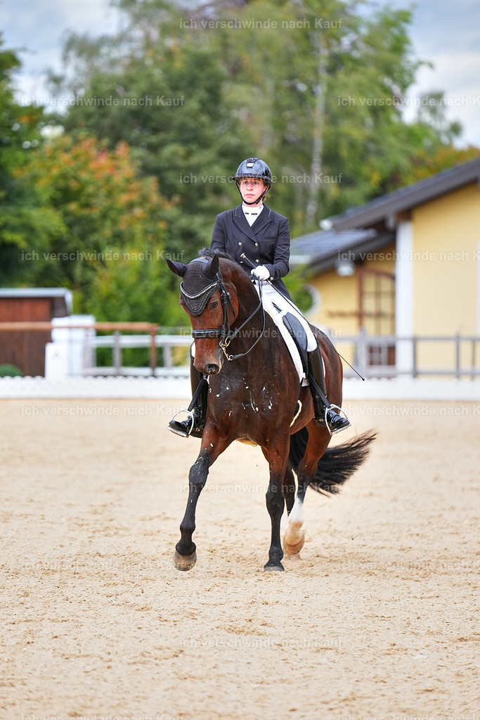8_1-099-Klasse S_  -Marixx-4176 | working equitationturnier fotograf videograf stoibphotography marixx film working equitation deutschland reitsport turnierfotografie eventfotografie equestrian events
