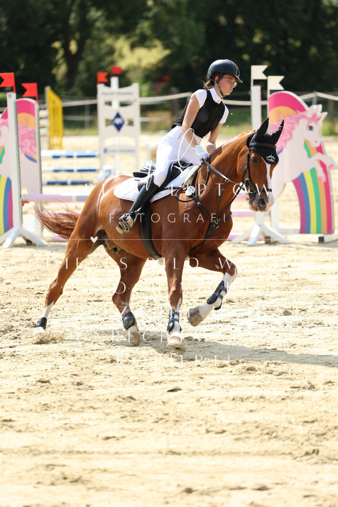 IMGM6602 | pl-fotografie