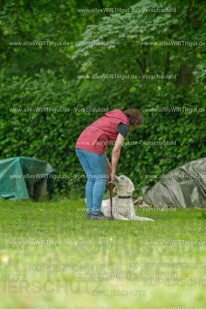 @allesWIRTHgut_Tierfotografie - www.allesWIRTHgut.de - 7R505168 | Professionelle Tierfotografie in Mönchengladbach von Daniel Wirth (allesWIRTHgut). Liebevolle & natürliche Bilder von Hunden & Katzen für unvergessliche Erinnerungen.
