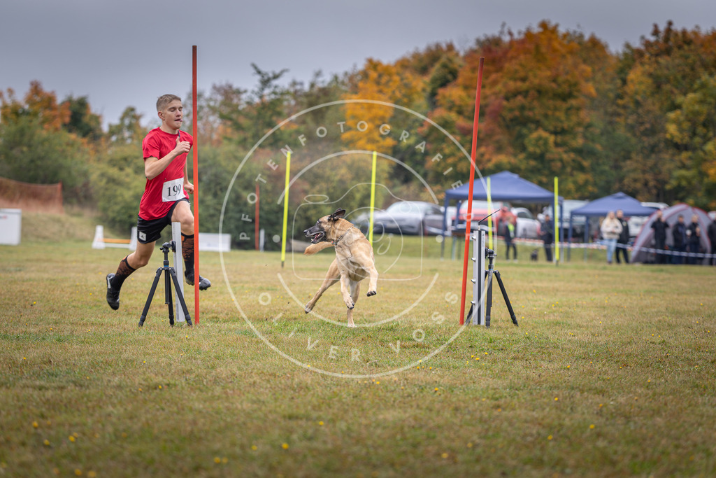 Pfotenfotografie_DV3A1192 | Hundefotografie, Tierfotograf, Pfotenfotografie, Fotoshooting Hund, Hunde Portrait, Hundesport, Hundeportraits, Heideshooting, Hunde, Sportfotograf, Hundefotograf, Turnierhundsport, THS,  - Realisiert mit Pictrs.com