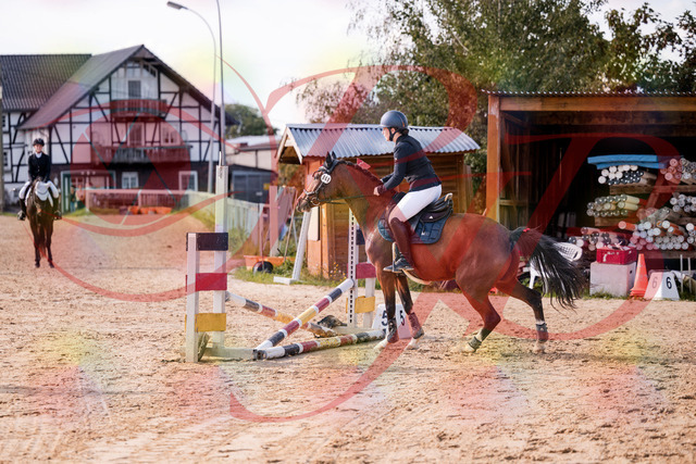 2026_10_03_Siefer-Hof_145727_Z81_39115988 | Professionelle Reitsport-, Turnier- und Eventfotografie von Robert Broda. Galerien mit ausgewählten und bearbeiteten Bildern direkt online ansehen und bestellen.