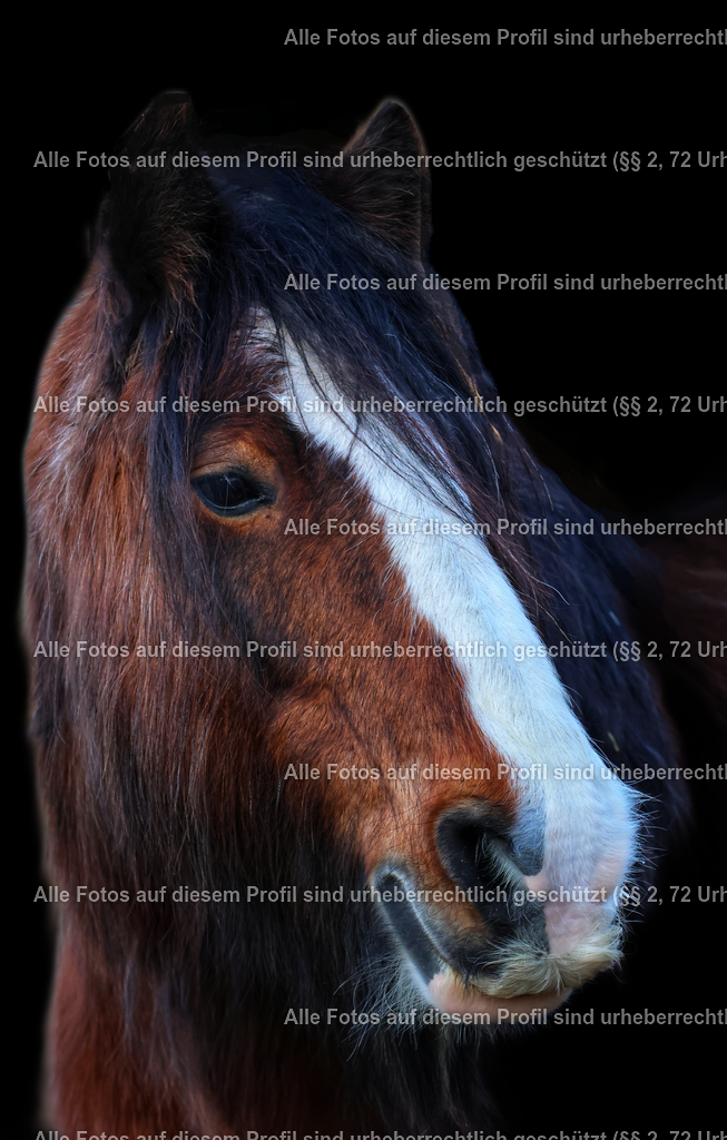 1710624628825_2 | krollfotografie - Realisiert mit Pictrs.com