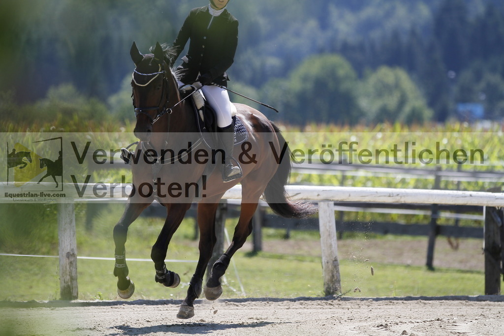 _MG_0800 | equestrian-live-com