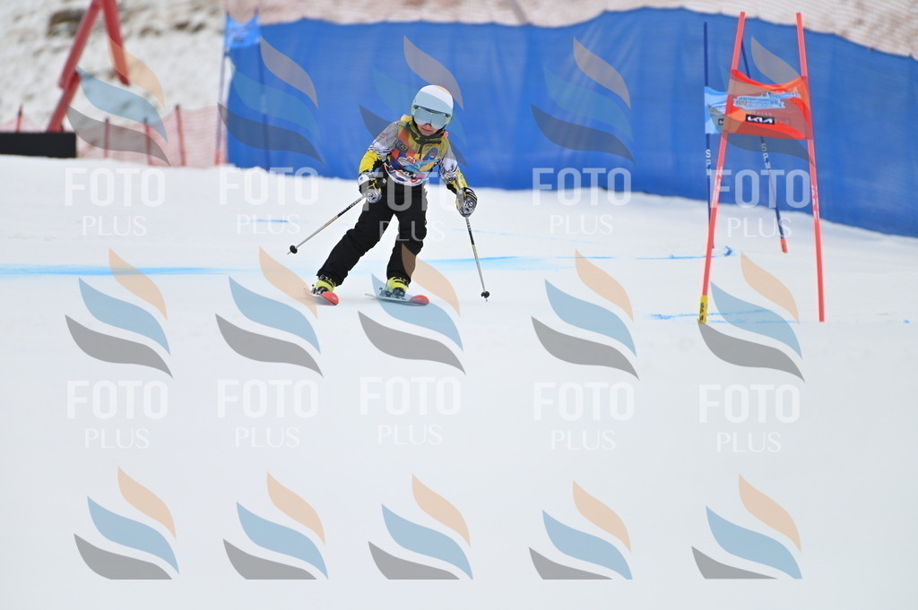 BGV_3004 | holidayphoto