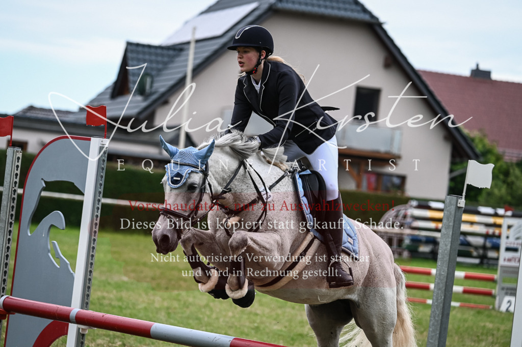 DSC_8521 | Pferde- und Turnierfotografie in Westsachsen. Pferdeportraits, Auftragszeichnungen und intuitive Kunst.