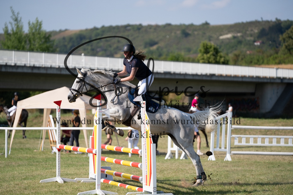 A7V00675 | Pferdefotograf