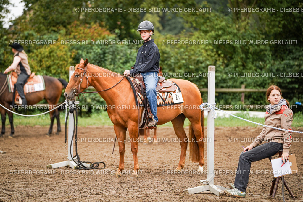 DSC03467 | Pferdegrafie