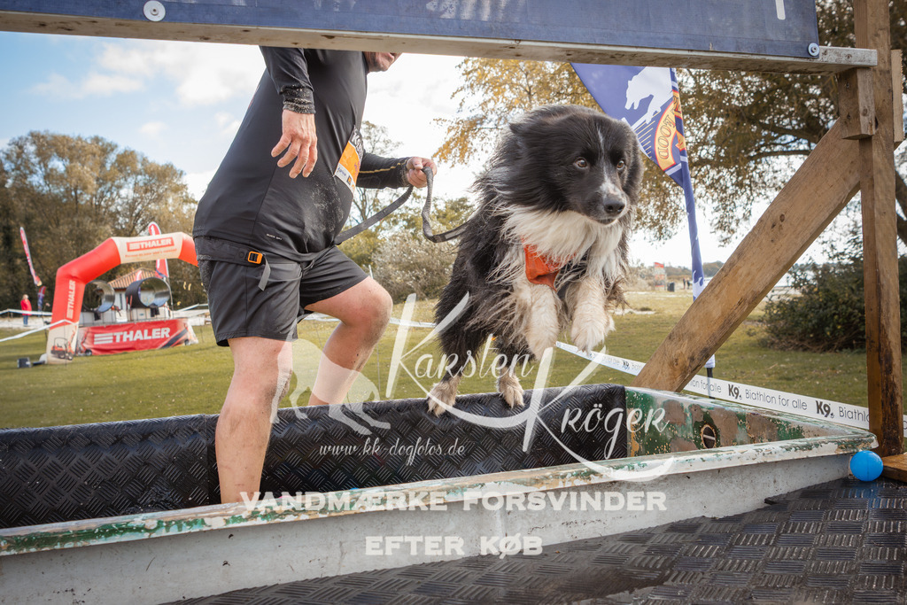 1327_ZZ90898-2 | kk-dogfotos