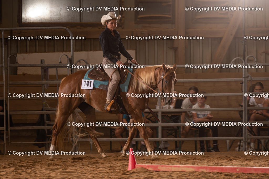 NID00754 | dv-media-shop - Realisiert mit Pictrs.com