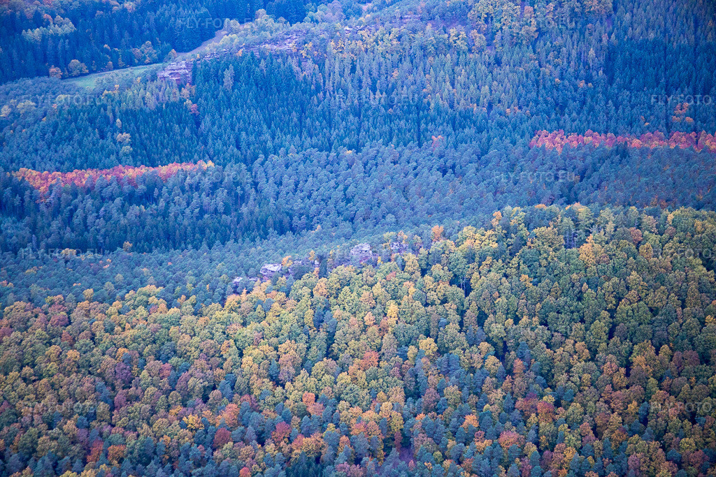 Vue aérienne: Forêt d'automne des Vosges du Nord près de Dambach à Dambach dans le département Bas Rhin, France – .Photo: IMG_084661.jpg prise le 23/10/2015 par Werner Riehm/FLY-FOTO.eu – Résolution de l'original: 5472 x 3648 px
