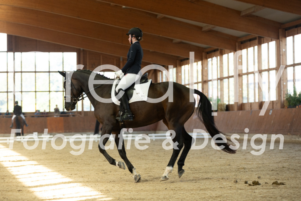 IMG_8124 | Creatify Fotografie