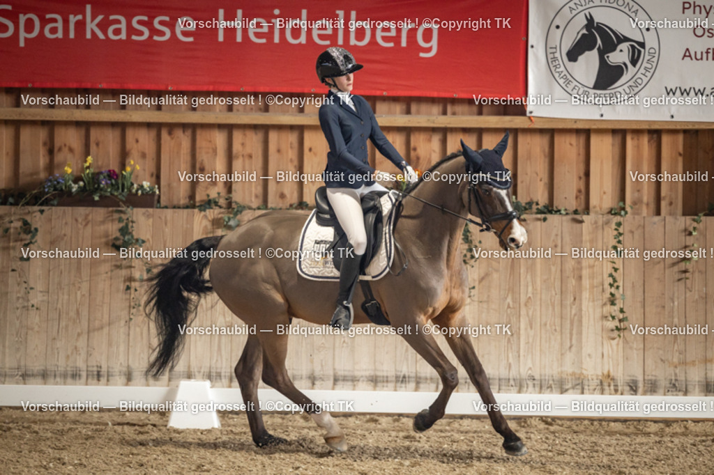 _D5A1147 | Emotionale Pferde- & People-Fotografie rund um Heidelberg, Leimen & Umgebung. Natürliche Fotos von Pferd, Mensch & Familie. Jetzt Termin sichern!