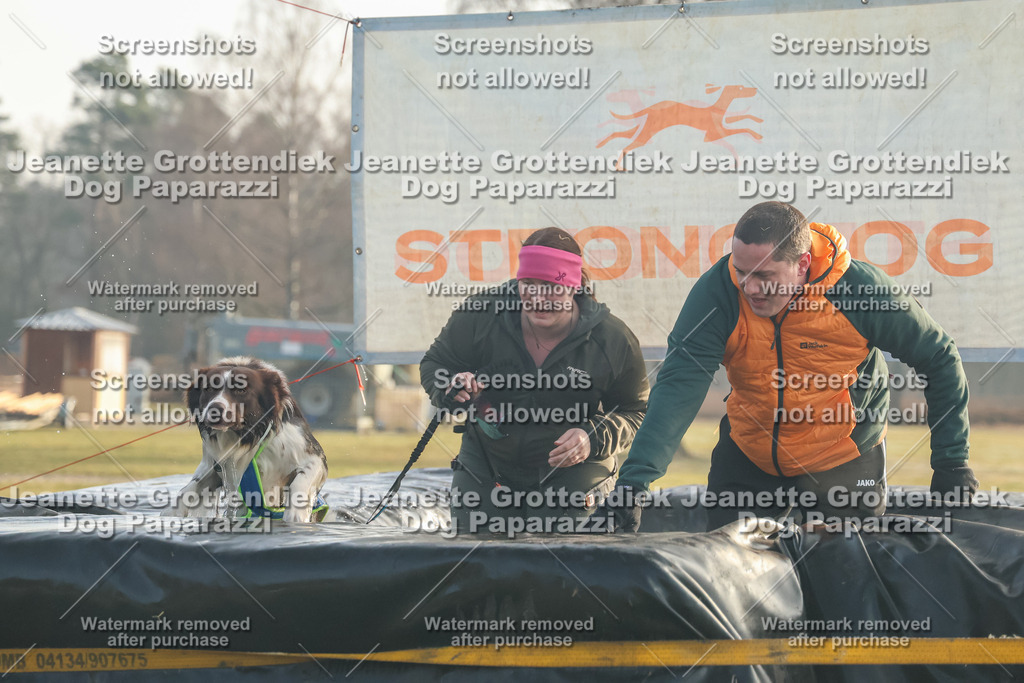 Dog Paparazzi - SD North Sa 830-900-57 | Dog Paparazzi Jeanette Grottendiek Fotografie & Videografie - Realisiert mit Pictrs.com