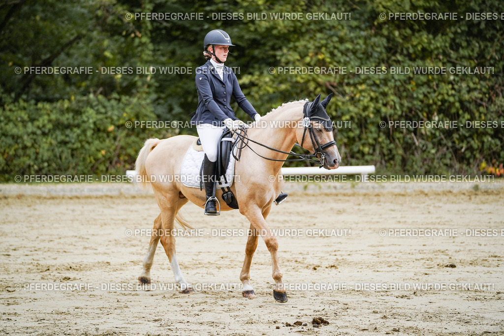 DSC08950 | Pferdegrafie