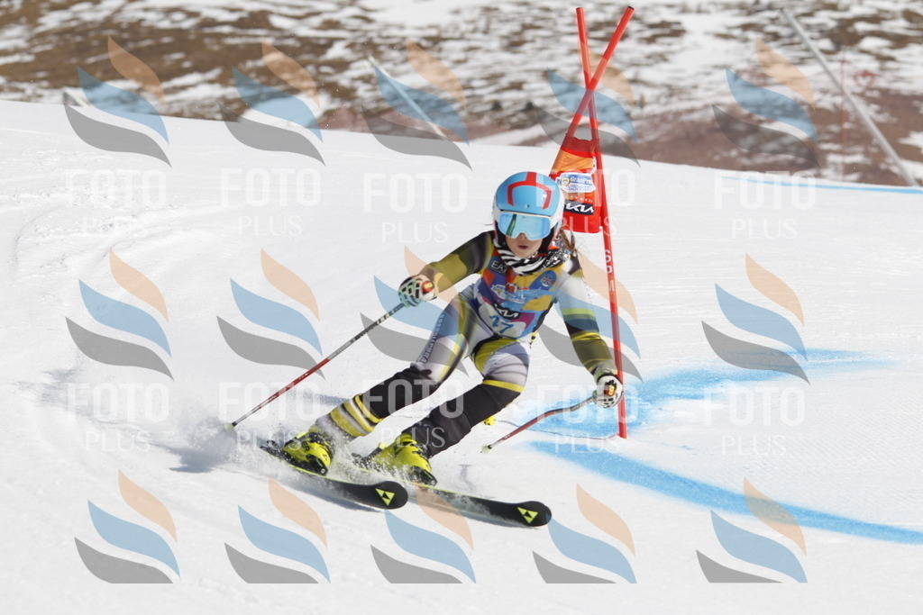 _U3G9352 | holidayphoto