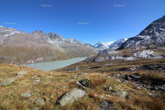 IMG_3620 | Raphael - Realisiert mit Pictrs.com