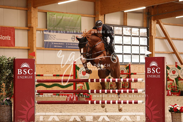 1J2A8878Christoph Lanske_ Noan SMH_ Kn401_ Glantz_ Hohen Wieschendorf | Foto- und Videografie für alles rund ums Pferd. Hochwertige Bilder und Videos vom Spring- und Dressurreiten, Voltigieren & mehr. Jetzt aktuelle Veranstaltungen und Preise im Shop ansehen. - Realisiert mit Pictrs.com