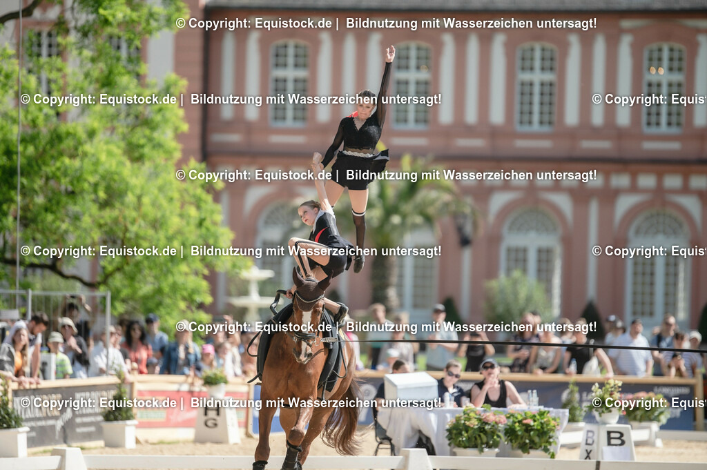 20230528_Voltigieren_NASPA_0578 | equistock