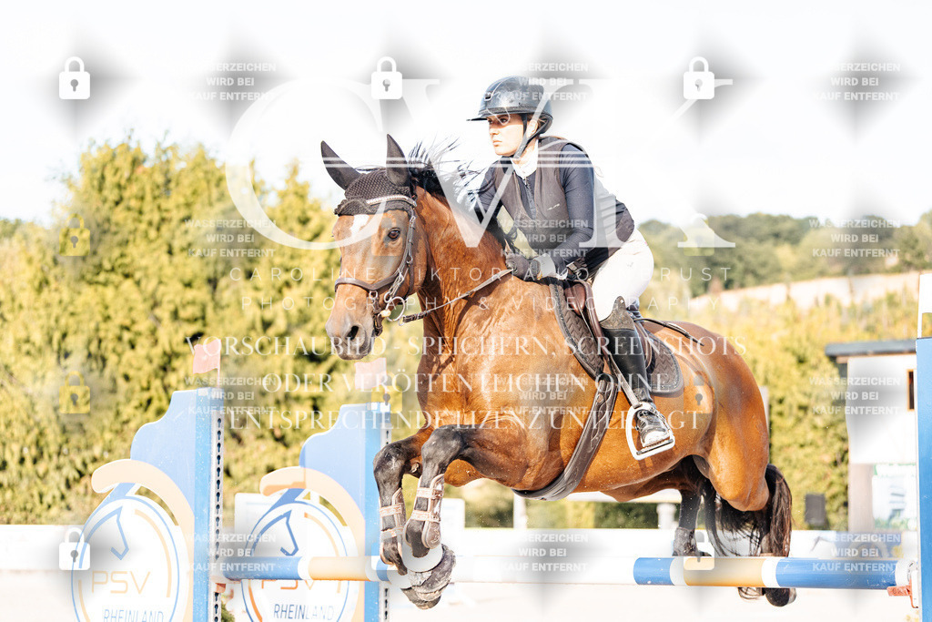 CK903268 | Turnierfotografie Pferdefotografie Trier Rheinland-Pfalz Pferdesport Reitsport Tierfotografie Sportfotografie Pferdevideo Pferdevideografie Equestrianvideography equestrianphotography  - Realisiert mit Pictrs.com
