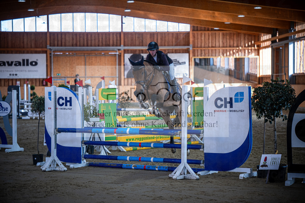 DOS_1339 | Entdecke hochwertige Reitturnierfotos von Foto Oger. Professionell, emotional und authentisch – jetzt Lieblingsmomente im Shop bestellen.Deutschlandweite Turnierfotografie. - Realisiert mit Pictrs.com