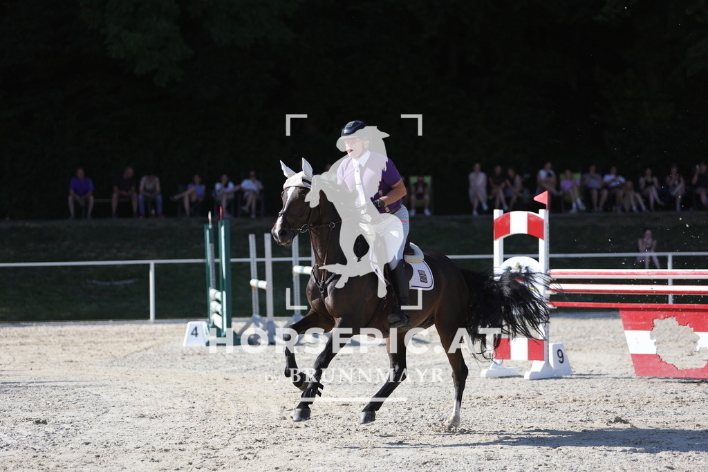 0P6A7460 | Willkommen bei Brunnmayr - Design & Fotografie – Ihrem Spezialisten für Reitturniere und Pferdeveranstaltungen in Oberösterreich, Salzburg und Bayern! Seit über 17 Jahren sind wir leidenschaftlich dabei.