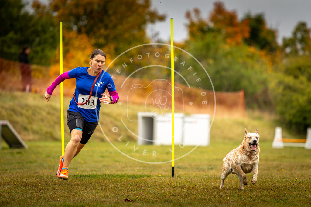 Pfotenfotografie_DV3A2029 | Hundefotografie, Tierfotograf, Pfotenfotografie, Fotoshooting Hund, Hunde Portrait, Hundesport, Hundeportraits, Heideshooting, Hunde, Sportfotograf, Hundefotograf, Turnierhundsport, THS,  - Realisiert mit Pictrs.com