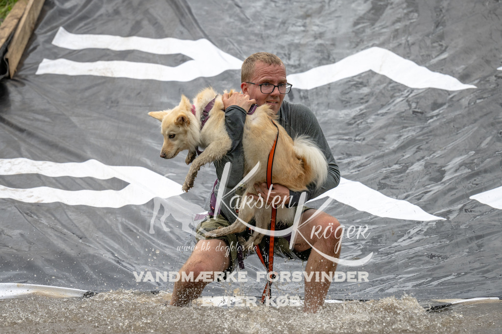 1554_ZZ91346 | kk-dogfotos
