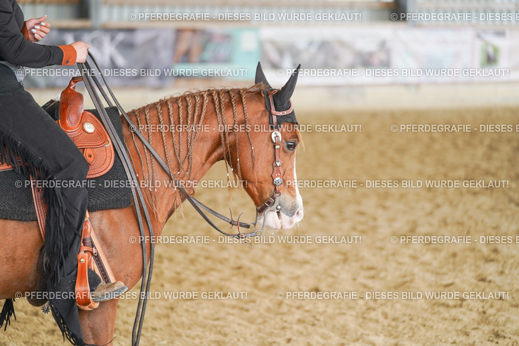 DSC02034 | Pferdegrafie