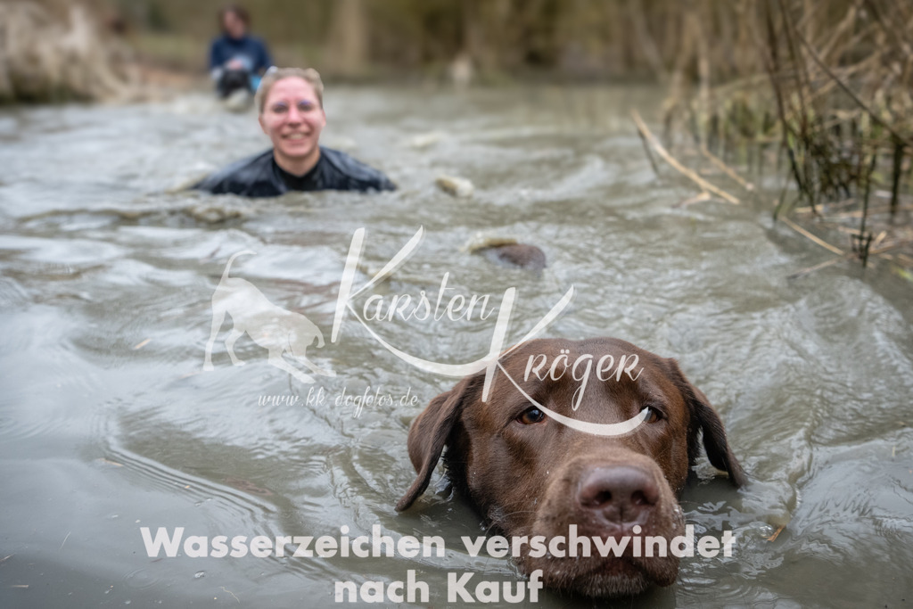 1105_ZZ95684 | kk-dogfotos