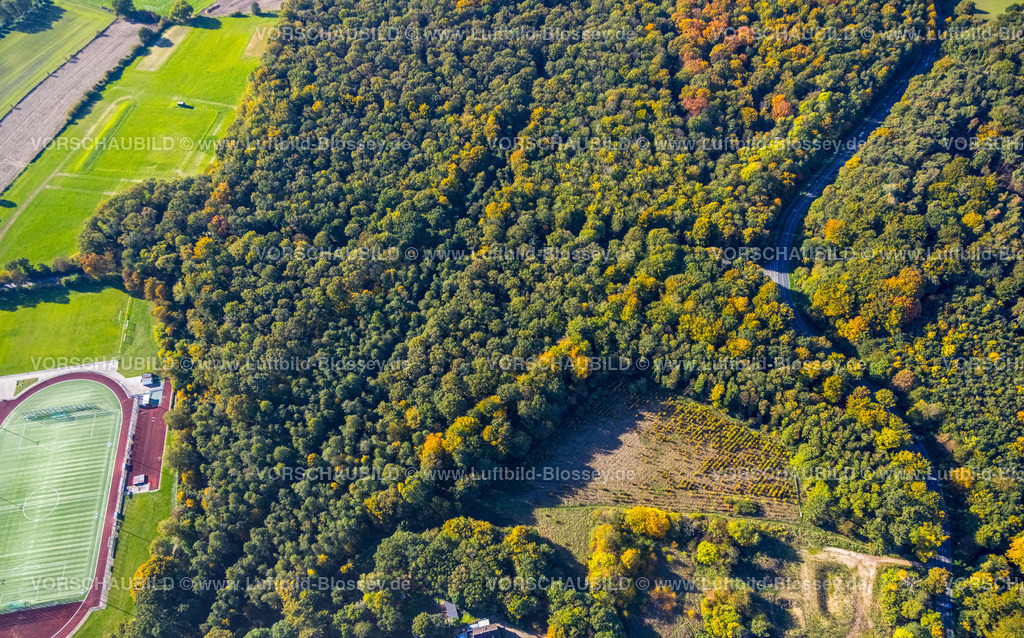 Kamp-Lintfort221004510 | Luftbild, Freies Waldstück am Kloster Kamp, Herbstfarben,Sportplatz SV Alemania Kamp, Kamperbrück, Kamp-Lintfort, Niederrhein, Ruhrgebiet, Nordrhein-Westfalen, Deutschland