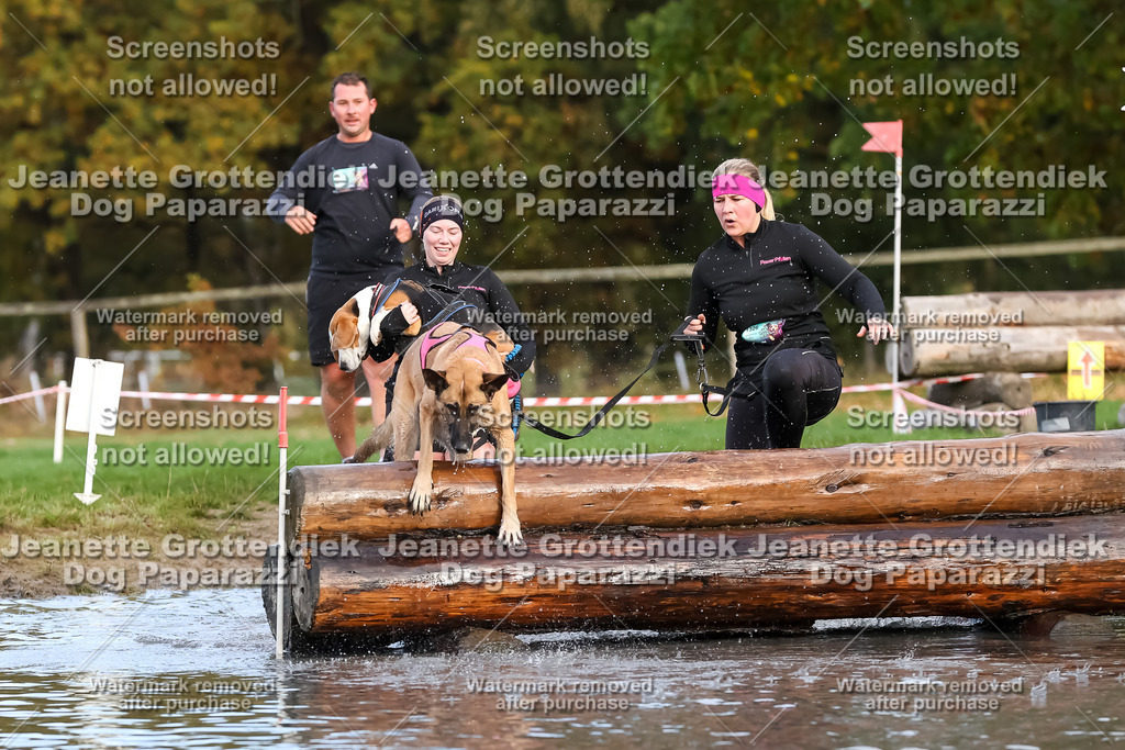 Dog Paparazzi - Strongdog 10-25-6974 | Dog Paparazzi Jeanette Grottendiek Fotografie & Videografie - Realisiert mit Pictrs.com