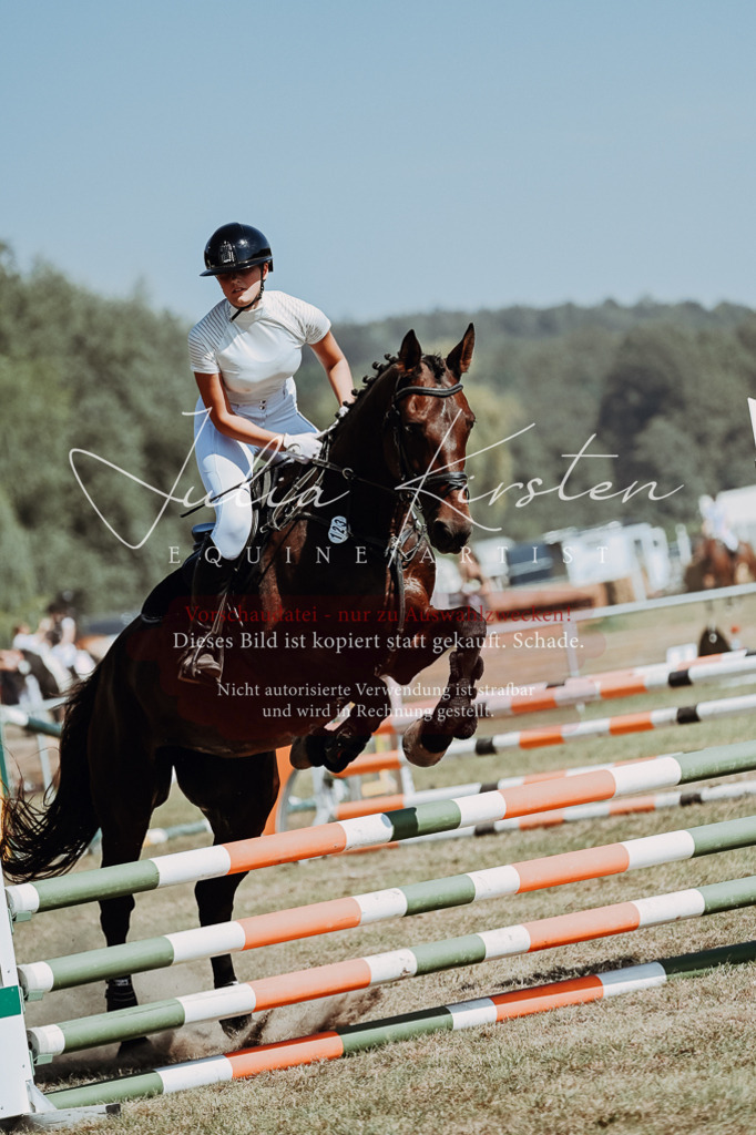 DSC_9990 | Pferde- und Turnierfotografie in Westsachsen. Pferdeportraits, Auftragszeichnungen und intuitive Kunst.