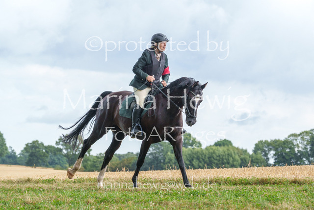 Jagd Knoop 26_MarinaHewigMCH02634 | Fotografie, FotoArt, PferdesportArt, Pferdesportfotografie, Landschaftsfotografie, Reisefotografie, Reise, Pferde - Realisiert mit Pictrs.com