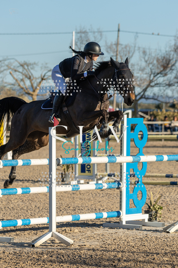 IMG_2422 | s-jay-photography - Realisiert mit Pictrs.com