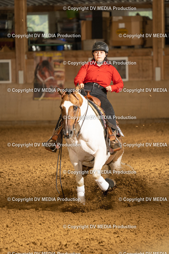 LAU00697 | dv-media-shop - Realisiert mit Pictrs.com