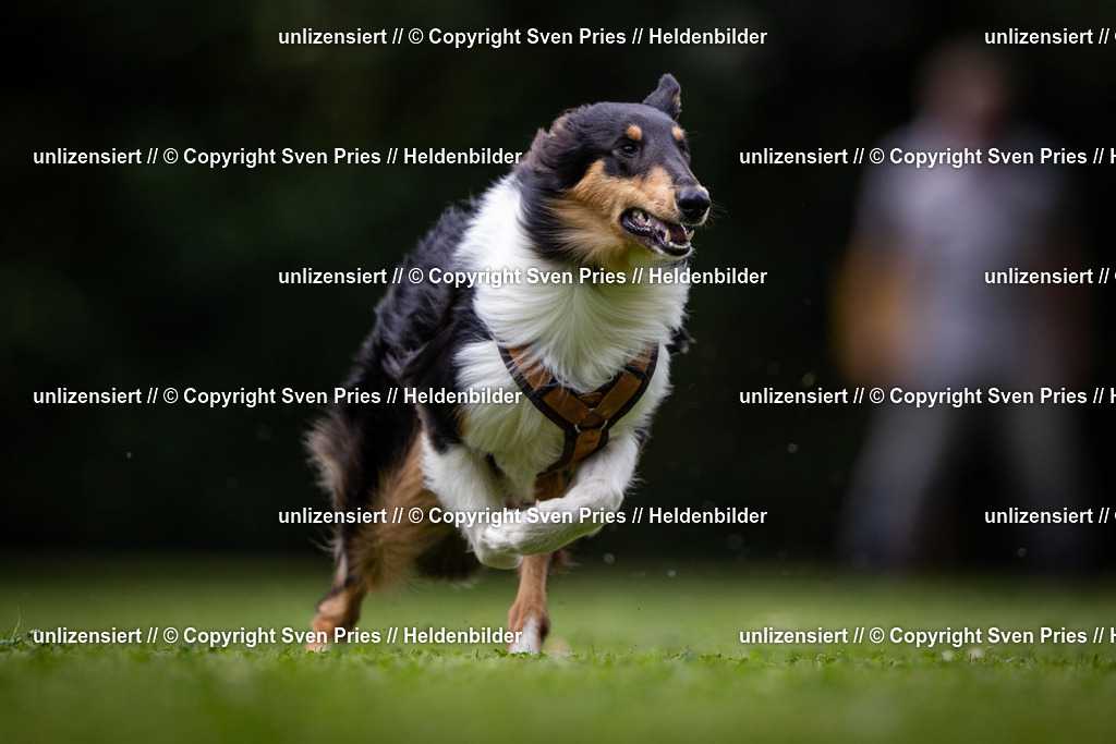 Sven Pries | 19. Allgemeines Hunderennen Karlsruhe Durlach - Realisiert mit Pictrs.com