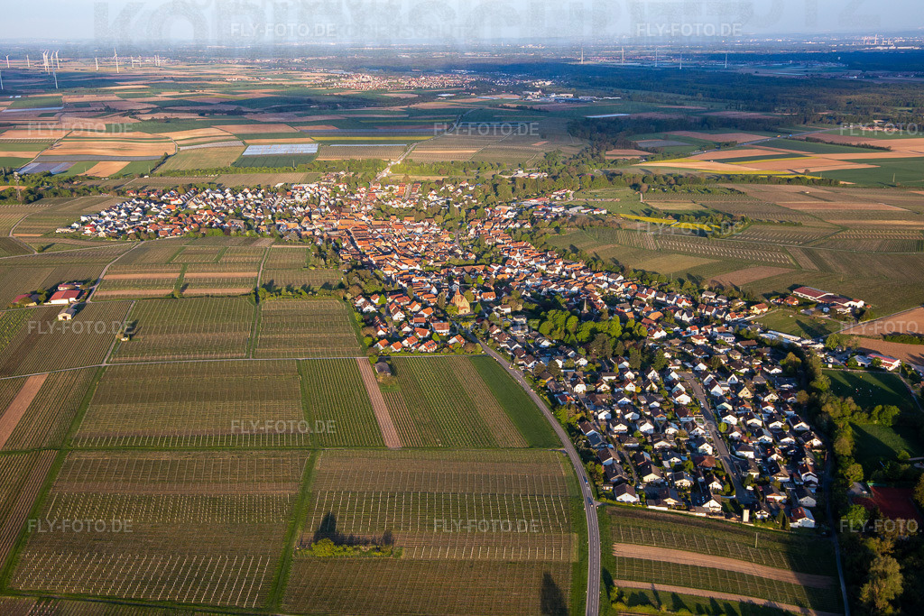 Ortsansicht von Nordwesten | Luftbild: Ortsansicht von Nordwesten in Insheim im Bundesland Rheinland-Pfalz in Deutschland. Foto: IMG_140340.jpg vom 23.04.2024 durch ©2025 Werner Riehm fly-foto.de/copyright - Realisiert mit Pictrs.com
