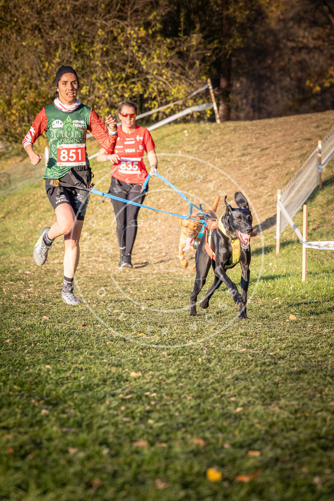 CaniXpix_0L8A0781 | Hundefotografie, Tierfotograf, Pfotenfotografie, Fotoshooting Hund, Hunde Portrait, Hundesport, Hundeportraits, Heideshooting, Hunde, Sportfotograf, Hundefotograf, Turnierhundsport, THS,  - Realisiert mit Pictrs.com