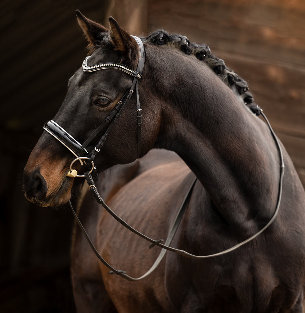 1B1A1540_B | Emotionale Pferde- & People-Fotografie rund um Heidelberg, Leimen & Umgebung. Natürliche Fotos von Pferd, Mensch & Familie. Jetzt Termin sichern!