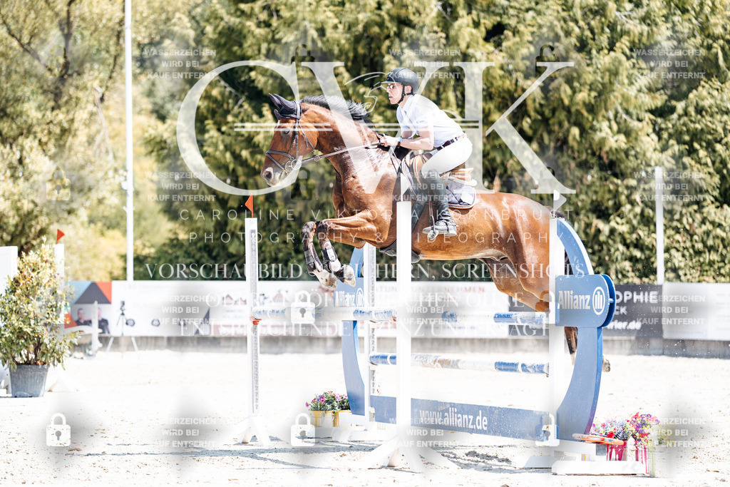 CK900539 | Turnierfotografie Pferdefotografie Trier Rheinland-Pfalz Pferdesport Reitsport Tierfotografie Sportfotografie Pferdevideo Pferdevideografie Equestrianvideography equestrianphotography  - Realisiert mit Pictrs.com