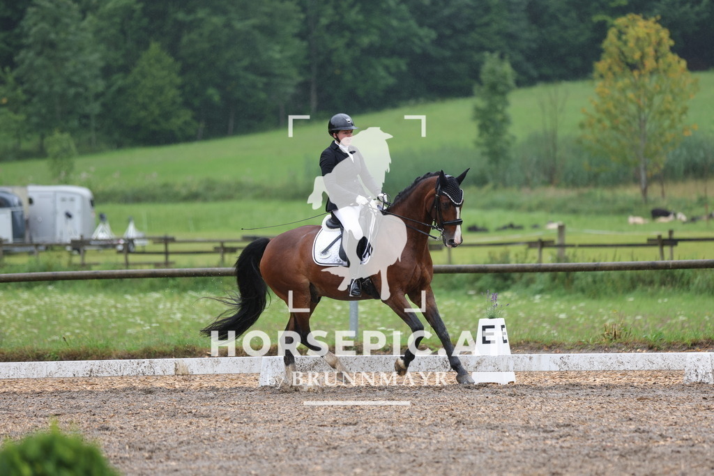 0P6A9150 | Willkommen bei Brunnmayr - Design & Fotografie – Ihrem Spezialisten für Reitturniere und Pferdeveranstaltungen in Oberösterreich, Salzburg und Bayern! Seit über 17 Jahren sind wir leidenschaftlich dabei.