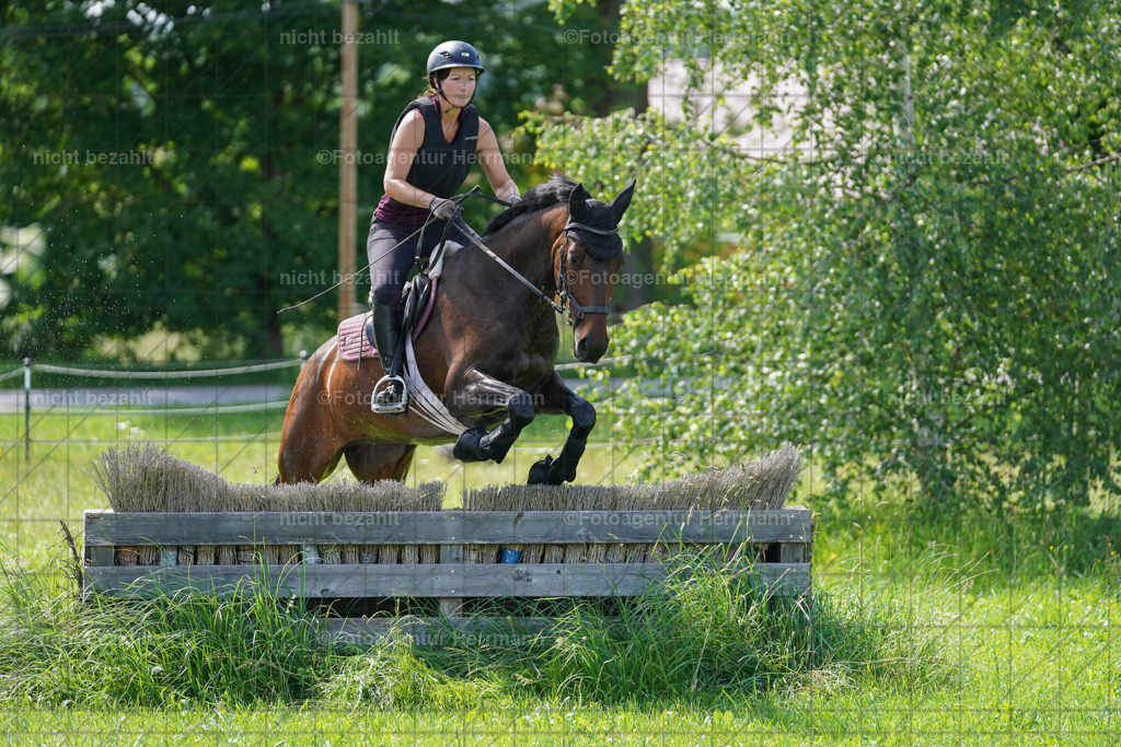 20240622-FAH07817 | Turnierfotografen Bayern, Reitsportbilder aus dem Geländekurs mit Felix Etzel auf dem Gut Waitzacker 2024