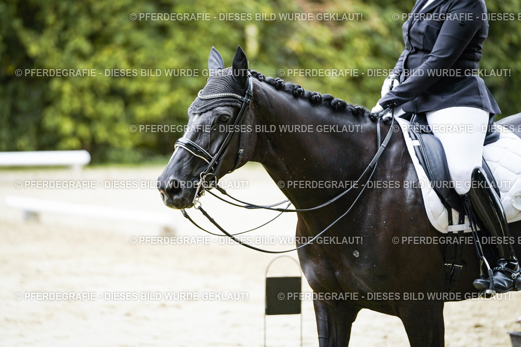 DSC09501 | Pferdegrafie