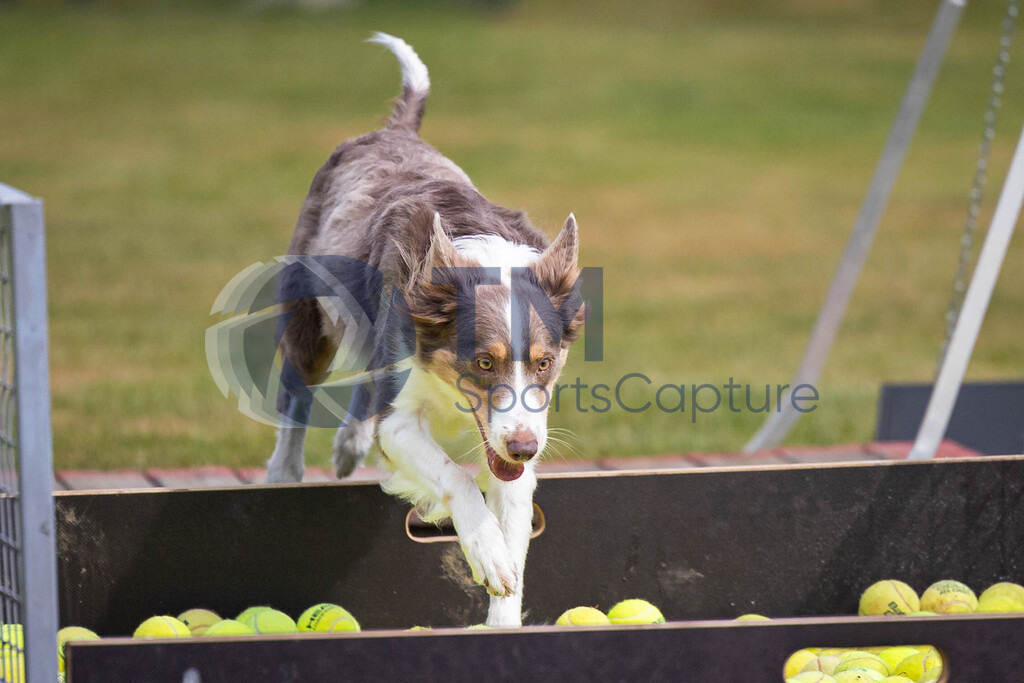 TP-20240815-0067 | Copyright: Trainproduction / Matthias Trinkl