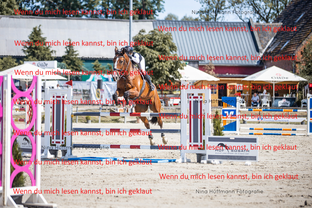 BK1A6871 | Turnierbilder Turnierfotos Nina Hüffmann Turnierfotografie Pferdefotografie Tierzeichnung Haustierzeichnung Pferdezeichnung Hundezeichnung Videograf  - Realisiert mit Pictrs.com
