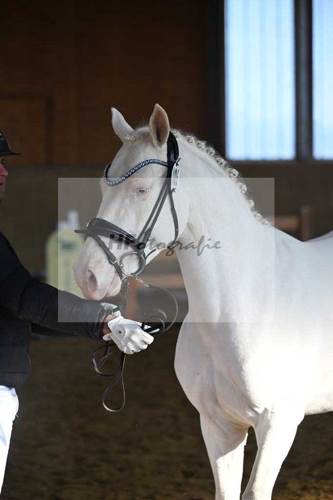 Kat-Nr. 5 EMR Gamarelli v. Giotto_Rupp_49250131 | hf-fotografie - Realisiert mit Pictrs.com