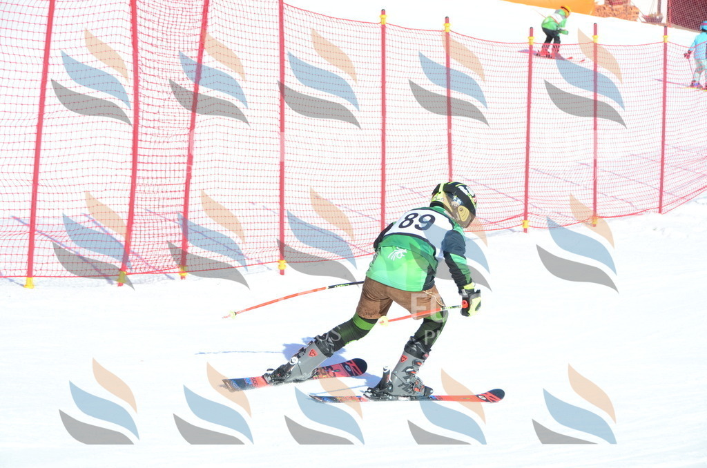 C5686 | holidayphoto