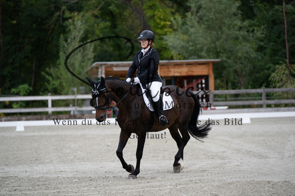 A7V06694 | Pferdefotograf