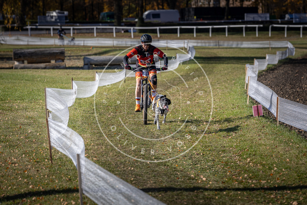 CaniXpix_DV3A6755 | Hundefotografie, Tierfotograf, Pfotenfotografie, Fotoshooting Hund, Hunde Portrait, Hundesport, Hundeportraits, Heideshooting, Hunde, Sportfotograf, Hundefotograf, Turnierhundsport, THS,  - Realisiert mit Pictrs.com