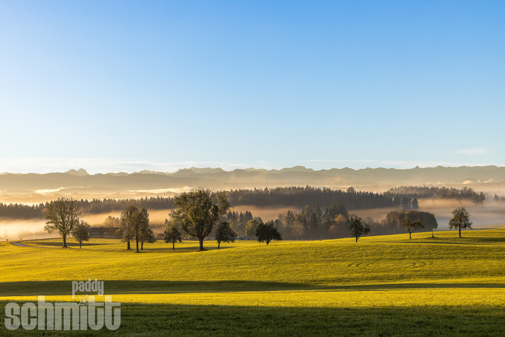 Bergpanorama bei Kißlegg am frühen Morgen im Allgäu | Frühe Morgenstimmung bei Kißlegg im Allgäu: Sanftes Licht trifft auf weite Landschaft und ein beeindruckendes Bergpanorama am Horizont. Eine ruhige, stimmungsvolle Aufnahme, die die besondere Atmosphäre des Allgäuer Morgens einfängt. - Realisiert mit Pictrs.com